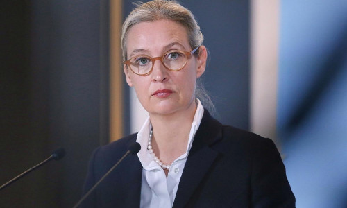 Alice Weidel (Archiv)