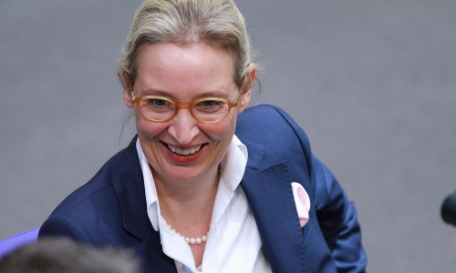 Alice Weidel (Archiv)