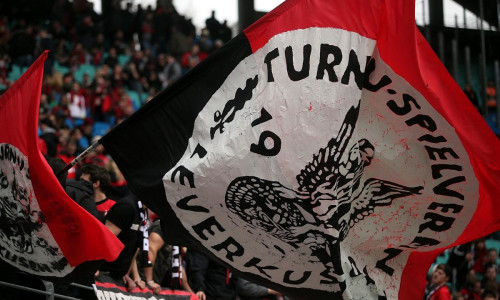 Fans von Bayer Leverkusen (Archiv)