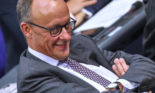 Friedrich Merz (Archiv)