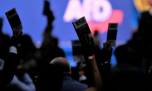 Abstimmung auf AfD-Parteitag (Archiv)