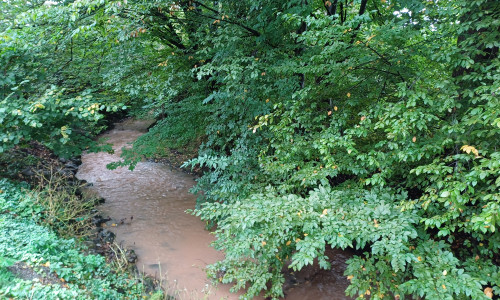 Mit der Aufweitung der Neile in der Ortslage Neuwallmoden soll ein erster Schritt zur Verbesserung des Hochwasserschutzes umgesetzt werden. Der Landkreis Goslar hat in dieser Woche den notwendigen Planfeststellungsbeschluss erlassen.