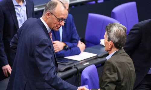 Friedrich Merz und Rolf Mützenich am 20.12.2024