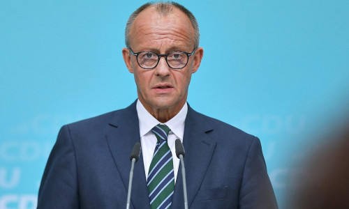 Friedrich Merz (Archiv)