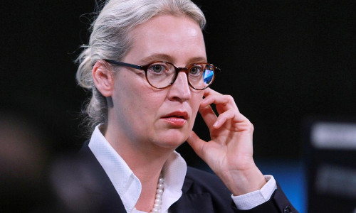 Alice Weidel (Archiv)