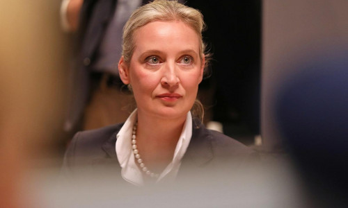 Alice Weidel (Archiv)