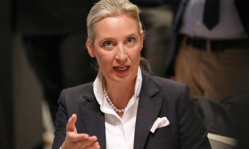 Alice Weidel (Archiv)