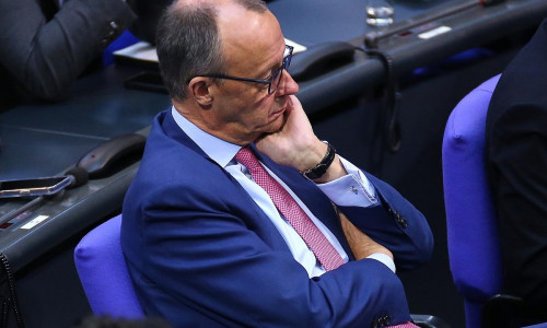 Friedrich Merz (Archiv)