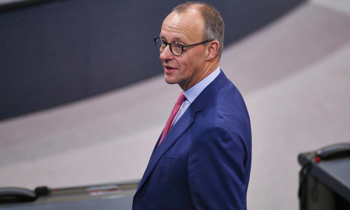 Friedrich Merz (Archiv)