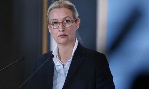 Alice Weidel (Archiv)