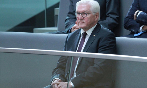 Frank-Walter Steinmeier (Archiv)