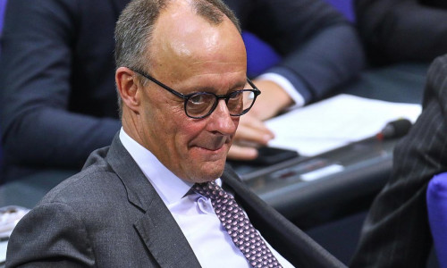 Friedrich Merz (Archiv)