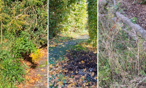 Der Nelkenweg und swe Rosengarten in Weddel gehören zu den ungepflegten öffentlichen Flächen in der Gemeinde Cremlingen .