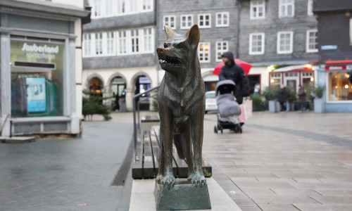 Der Wolf ist zurück in Wolfenbüttel. Die Bronze Skulptur wurde am 19. Dezember 2024 vor dem Löwentor errichtet.