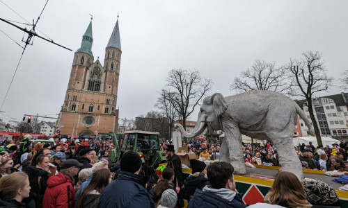 Auch in diesem Jahr werden wieder Sympathiearmbänder zum Karneval verkauft.