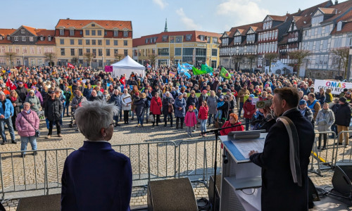Auf dem Schlossplatz fand am Samstagmittag das Fest für die Demokratie statt.