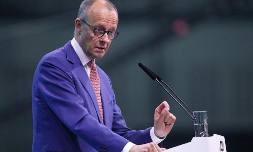 Friedrich Merz (Archiv)