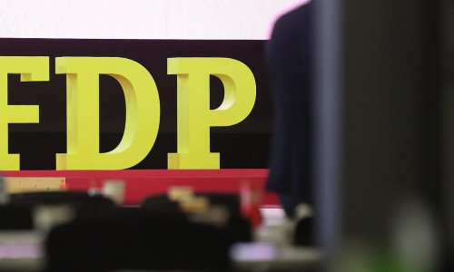 FDP-Logo auf Parteitag (Archiv)