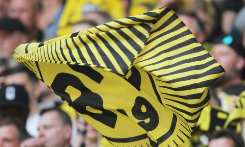 Fans von Borussia Dortmund (Archiv)