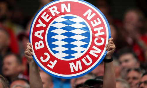 Fans des FC Bayern München (Archiv)