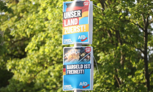 AfD-Wahlplakate zur Europawahl (Archiv)