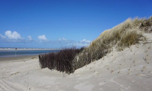 Blick auf den Weststrand auf Spiekeroog.