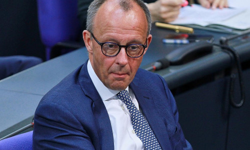 Friedrich Merz (Archiv)