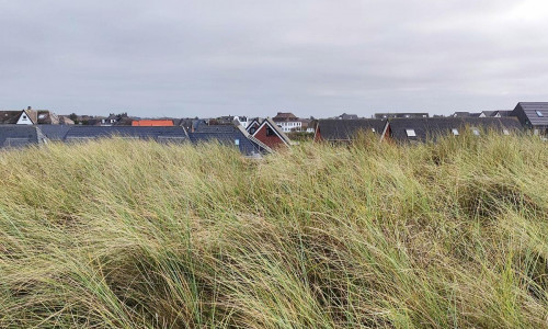 Häuser auf Sylt (Archiv)