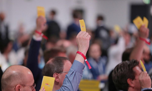 Abstimmung auf FDP-Parteitag (Archiv)