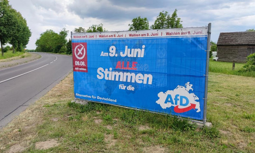 AfD-Wahlplakat in Mecklenburg-Vorpommern (Archiv)