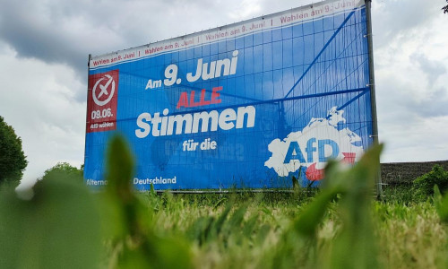 AfD-Wahlplakat in Mecklenburg-Vorpommern (Archiv)