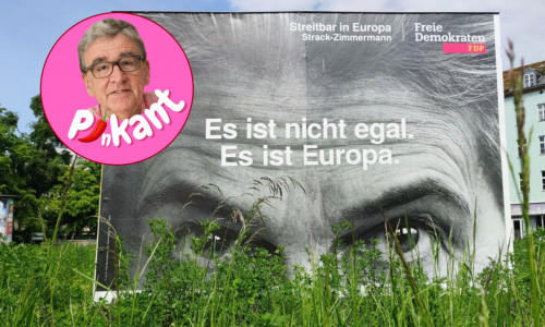 "Liebe FDP, wer hat sich denn das ausgedacht?", fragt unser Kolumnist.