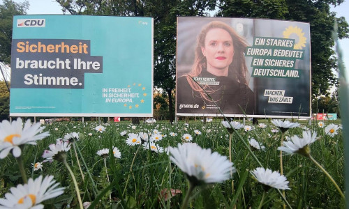 Wahlplakate zur Europawahl (Archiv)