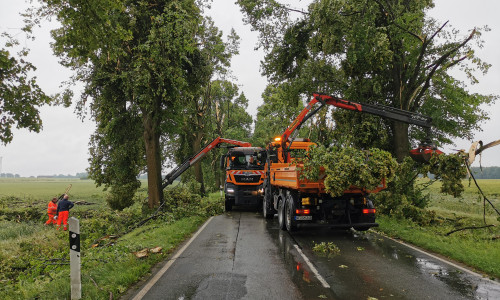  Sturmschäden an Bäumen an der K 75 zwischen B6 und der Siedlung Söderhof (Gemeinde Haverlah) – die Schäden sind voraussichtlich am Freitag weitestgehend beseitigt. 