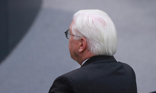 Frank-Walter Steinmeier (Archiv)