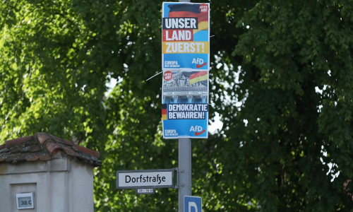 AfD-Wahlplakate zur Europawahl (Archiv)