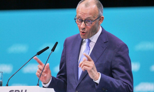 Friedrich Merz (Archiv)