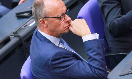 Friedrich Merz (Archiv)