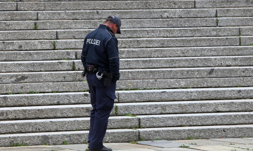 Polizei vor dem Bundestag (Archiv)