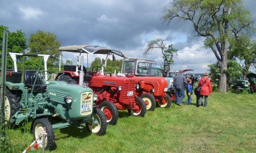 Einige historische Traktoren bei der Treckermeile 2011, damals noch auf dem Hof Rollwaage in Sehlde.