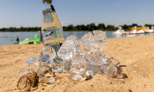 Bei diesem heißen Wetter will der Kopf nicht wie wir wollen.