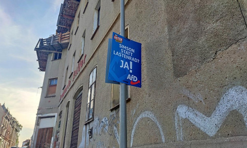 AfD-Wahlplakat zur Landtagswahl in Thüringen (Archiv)