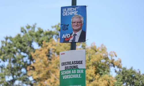 Wahlplakate von AfD und CDU zur Landtagswahl in Sachsen (Archiv)