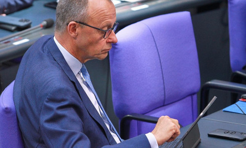 Friedrich Merz (Archiv)