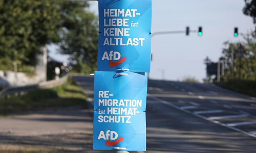 AfD-Wahlplakate zur Landtagswahl in Sachsen (Archiv)