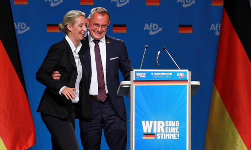 Alice Weidel und Tino Chrupalla (Archiv)