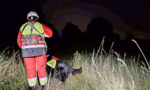 In der Nacht wurde unter anderem mit Hunden gesucht.