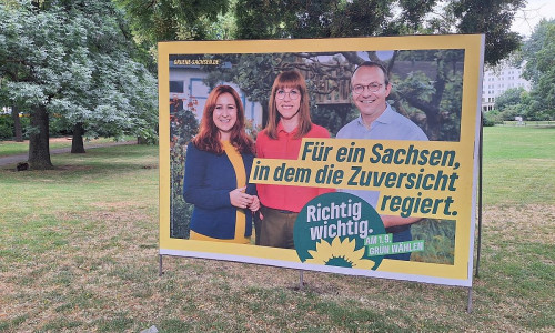 Grünen-Wahlplakat zur Landtagswahl in Sachsen (Archiv)