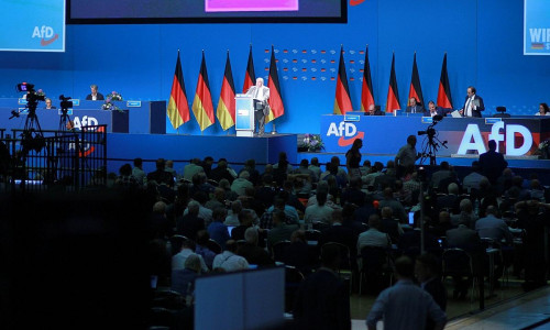 AfD-Parteitag (Archiv)