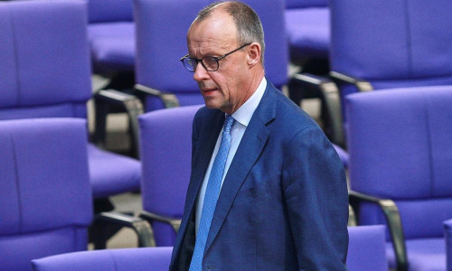 Friedrich Merz (Archiv)